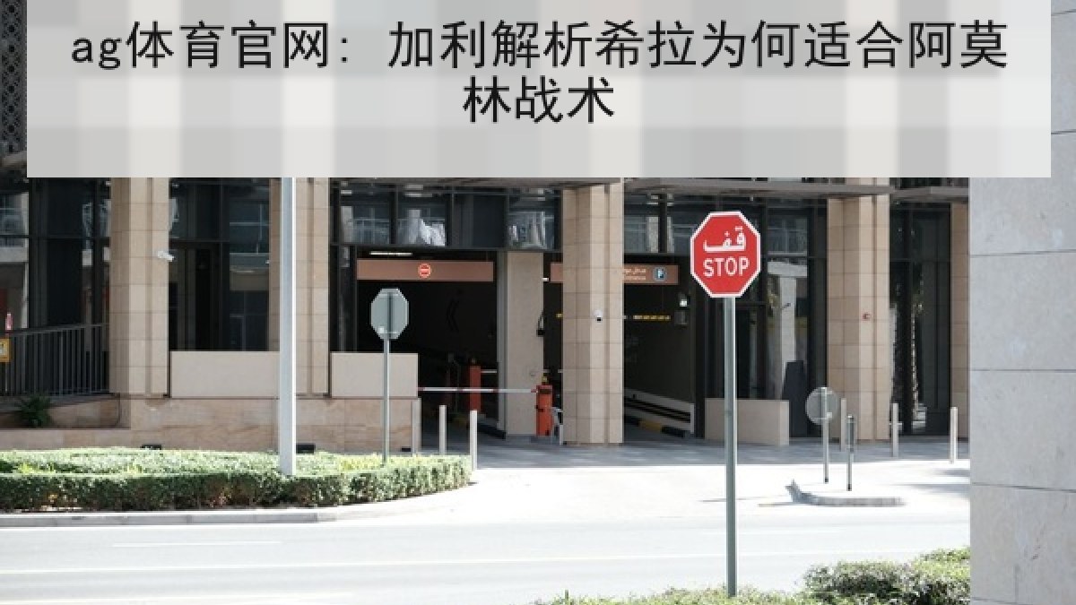 ag体育官网: 加利解析希拉为何适合阿莫林战术