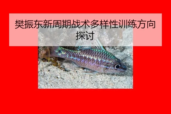 fan-zhen-dong-xin-zhou-qi-zhan-shu-duo-yang-xing-xun-lian-fang-xiang-tan-tao-2-178.jpg