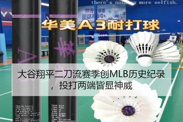 大谷翔平二刀流赛季创MLB历史纪录，投打两端皆显神威