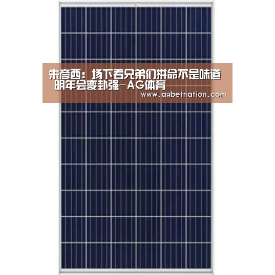 AG体育